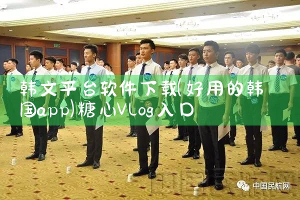 韩文平台软件下载|糖心Vlog入口