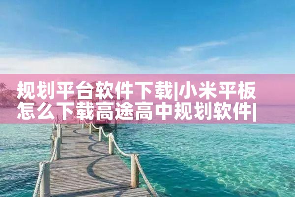 规划平台软件下载|糖心Vlog入口