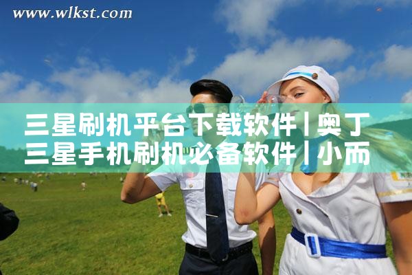 三星刷机平台下载软件