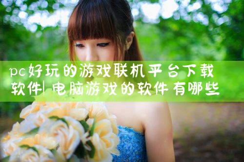 pc好玩的游戏联机平台下载软件