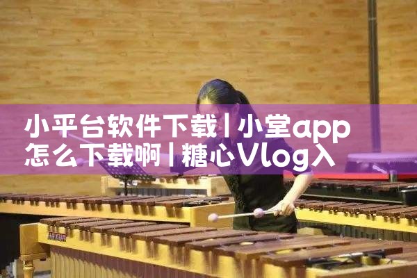 小平台软件下载|糖心Vlog入口