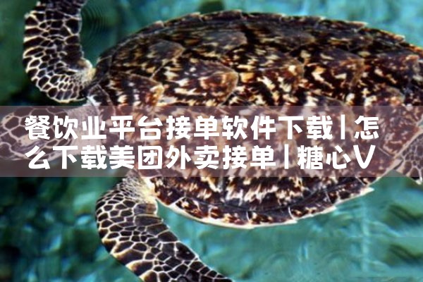 餐饮业平台接单软件下载|糖心Vlog入口