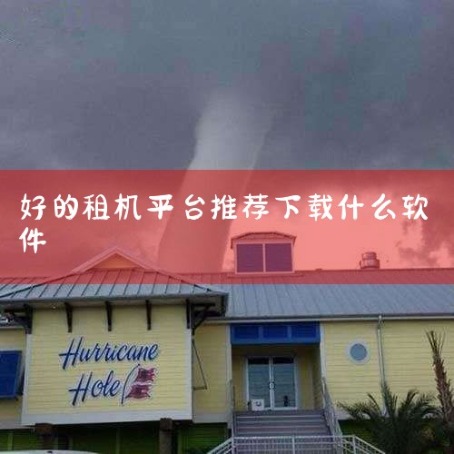 1、人人租 人人租是全品类一站式租赁平台，致力于引领万物皆可租的新租赁潮流。主营手机、电脑、游戏机、摄影设备家电家居等，全场正品保障。2、租租鸭 租租鸭是数码租赁平台，信用租赁，畅享生活。主营手机、电,