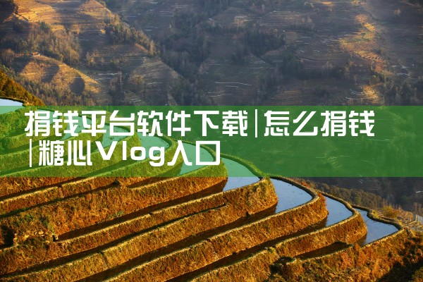 捐钱平台软件下载|糖心Vlog入口
