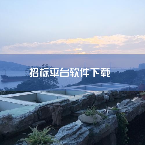 标桥投标软件是一款面向投标服务的开放平台及综合服务门户，具备AI编标、标书检查、招标文件解析等核心功能，可实现全流程赋能，提升投标效率与安全性。核心功能方面，AI编标能深度解析招标文件，自动构建标书框|糖心Vlog入口
